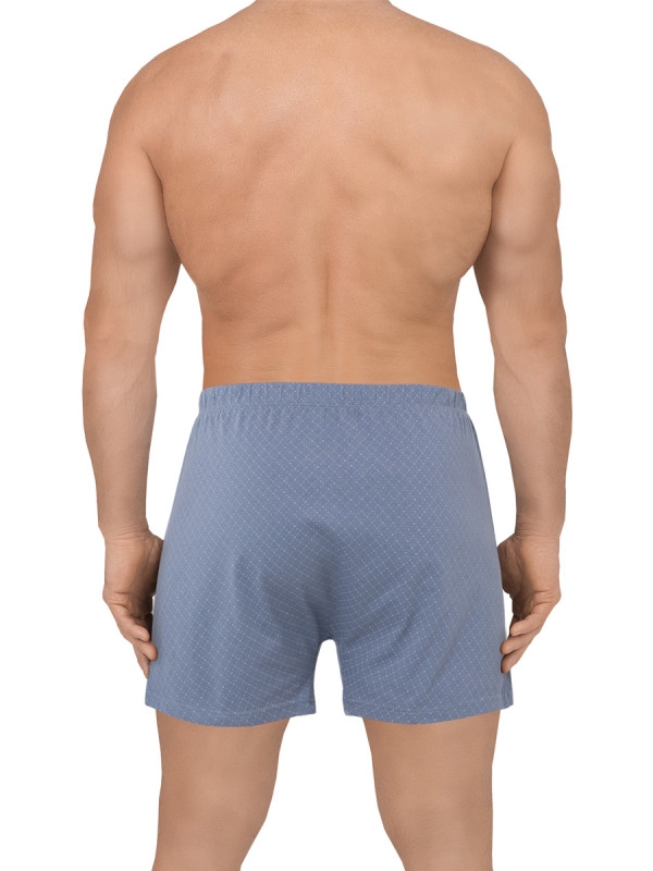 Трусы мужские DEN REY F5010 short серого цвета