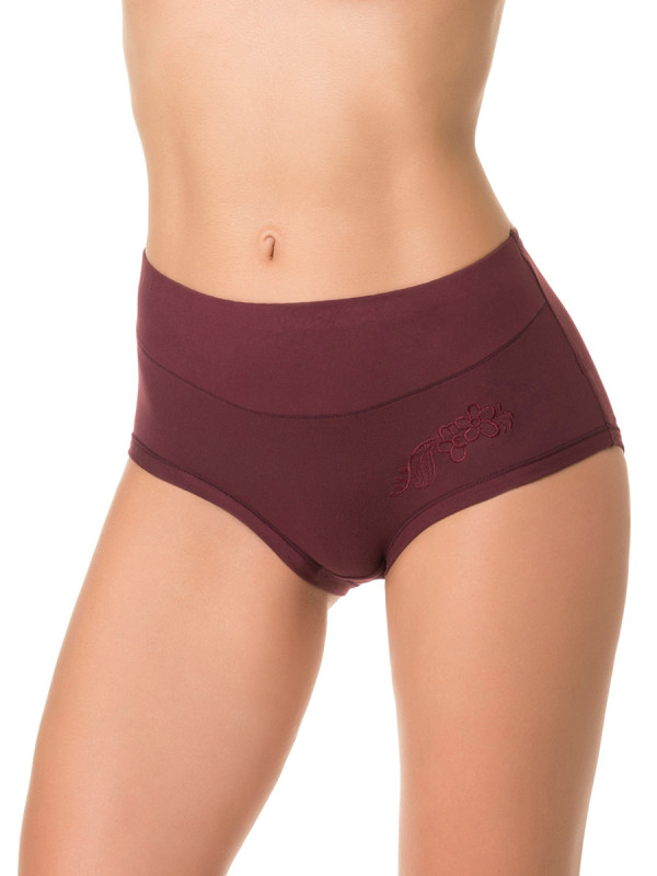 Трусы женские DENTELLE DIANA BAMBOO SIZE PLUS HW305 бордового цвета