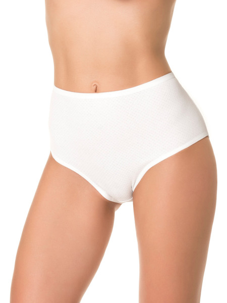 Трусы женские DENTELLE IVY SIZE PLUS HW104 белый