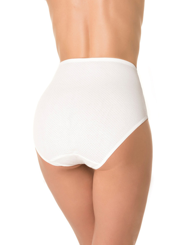 Трусы слипы DENTELLE IVY SIZE PLUS HW104 белого цвета - комфорт и стиль в нижнем белье