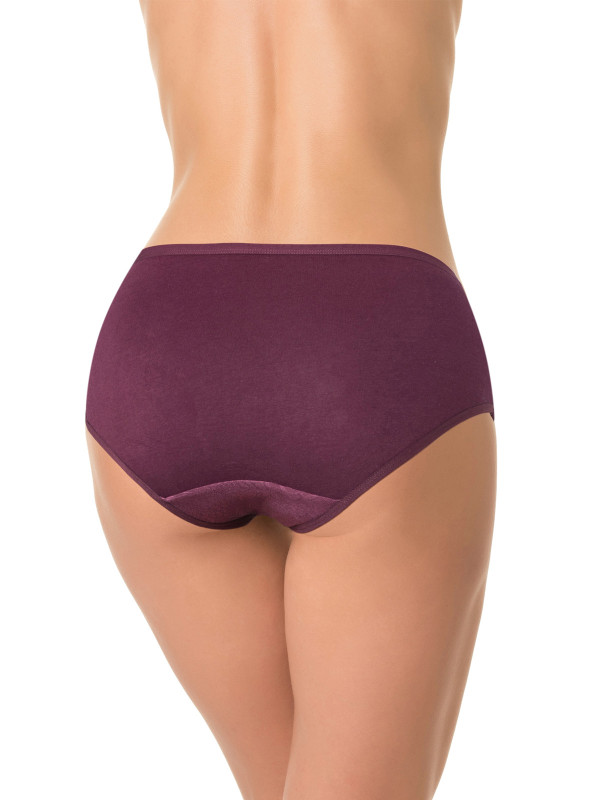 Трусы слипы DENTELLE NICOLE SIZE PLUS HW150 бордового цвета