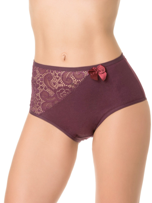 Трусы женские слипы DENTELLE TINA SIZE PLUS HW109 цвет баклажан