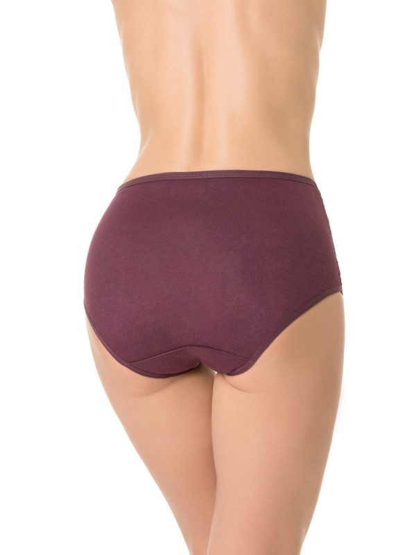 Трусы женские слипы DENTELLE TINA SIZE PLUS HW109 цвет баклажан