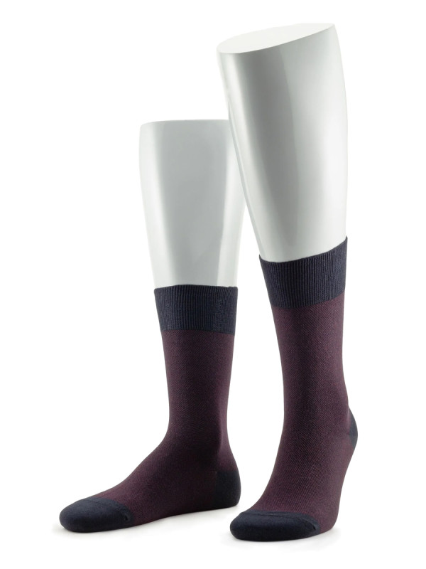 Носки мужские SERGIO di CALZE 15SC3 cotton