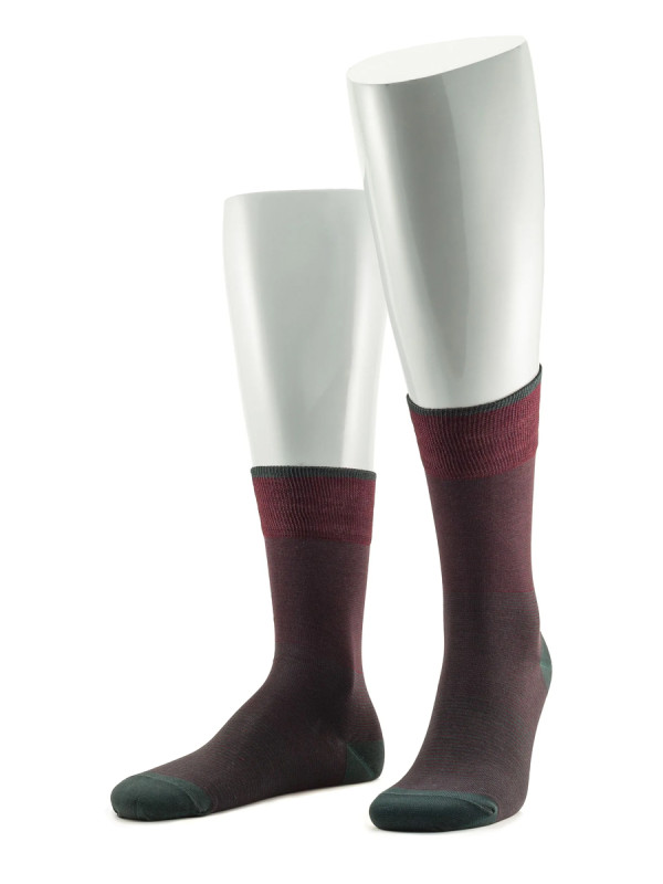 Носки мужские SERGIO di CALZE 17SC4 cotton mercerized