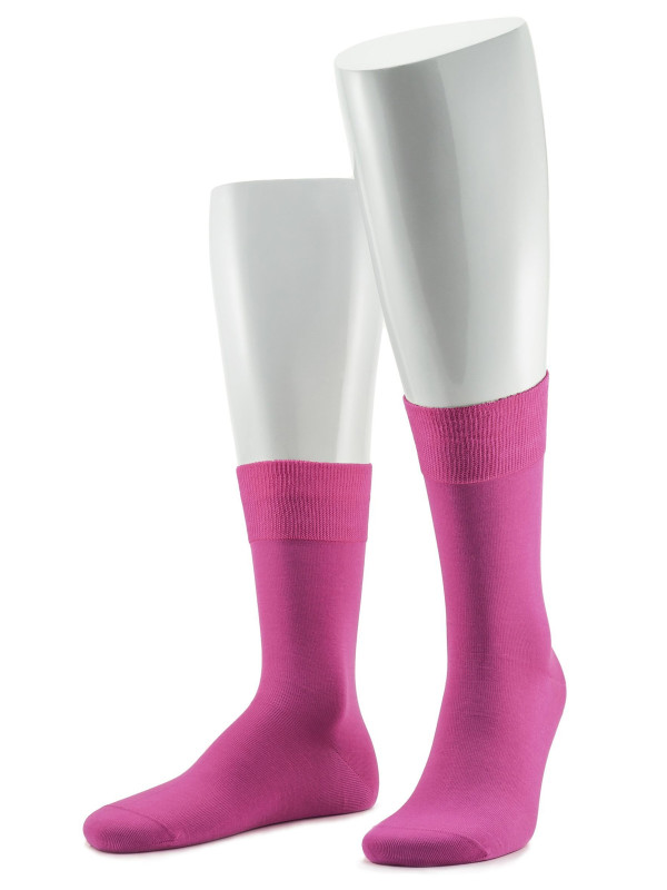 Носки мужские SERGIO di CALZE 17SC6 cotton mercerized