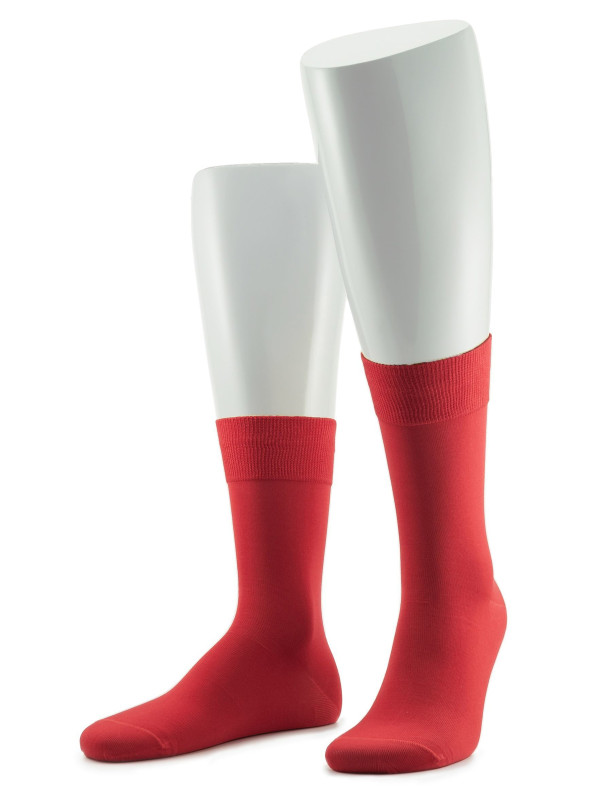 Носки мужские SERGIO di CALZE 17SC6 cotton mercerized