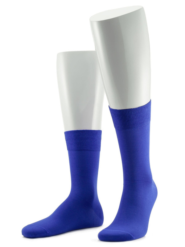 Носки мужские SERGIO di CALZE 17SC6 cotton mercerized