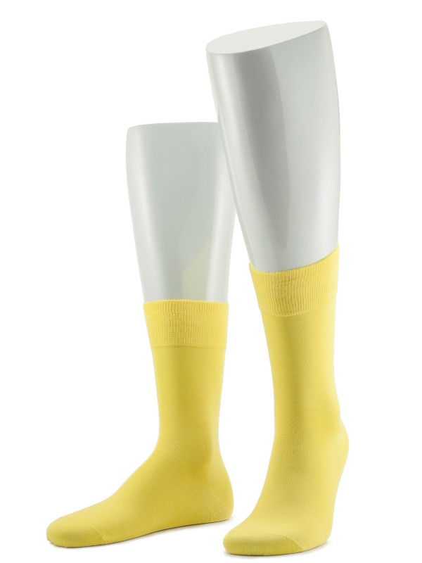 Носки мужские SERGIO di CALZE 17SC6 cotton mercerized