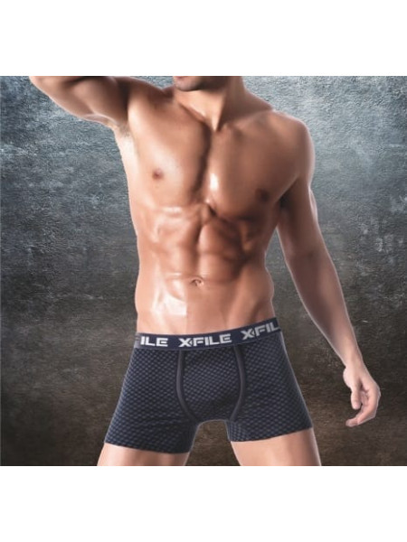 Трусы мужские X-File CARLO Boxer